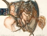 Nachmittage eines Fauns 3